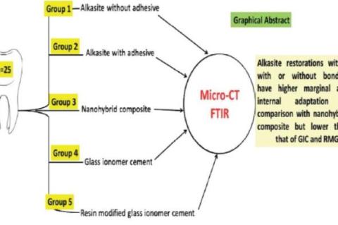 The analyzed 2D, 3D and segmented Micro-CT images for samples