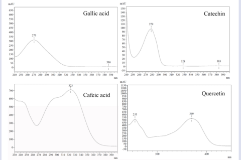 UV-vis absorbing spectrograms of gallic acid, catechin, caffeic acid, and quercetin