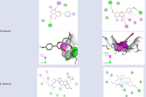  Figure 2 Visualisasi 2D dan 3D.