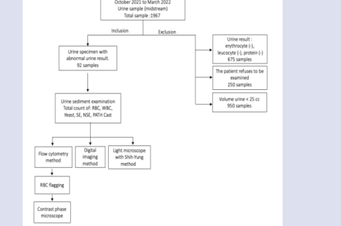 Sample analysis experiment scheme