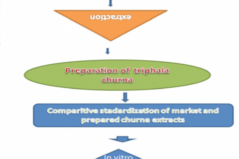 GRAPHICAL ABSTRACT