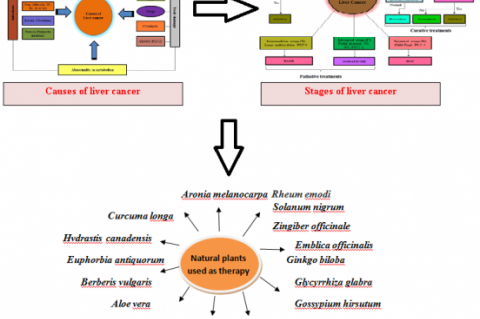 Graphical Abstract