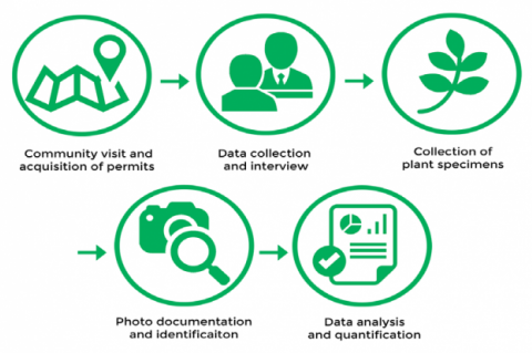 GRAPHICAL ABSTRACT