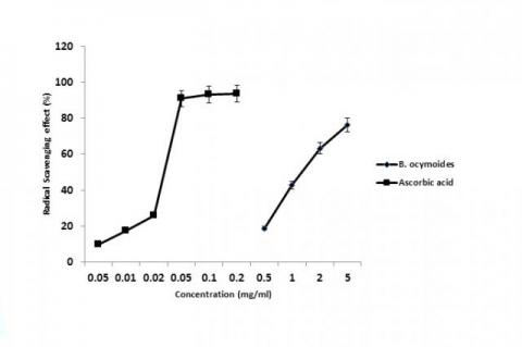 Radical Scavenging Effects of B. ocymoides and Ascorbic acid on DPPH Radical