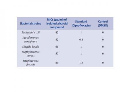 Antibacterial activity of alkaloid compounds isolated from E. alba against selected human pathogenic bacteria by minimum inhibitory concentration (MIC) method