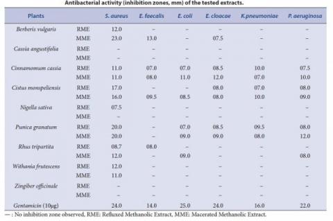 Antibacterial activity (inhibition zones, mm) of the tested extracts.