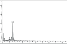 EDX spectra and elemental profile of biosynthesized nanoparticles