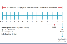1. Behavioral Study layout