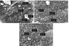 FESEM images of CuNPs synthesized from CuSO₄ precursor solutions at (a) 0.1 M, (b) 0.5 M, and (c) 1.0 M. Scale bars = 100 nm. Particle size distribution was measured from 100 individual nanoparticles per sample using ImageJ software. Mean particle diameters are shown on each subfigure.