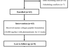 Study flow diagram