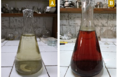 Synthesis of HSNPs A) Starting of reduction process, B) After 24 hours of reduction.