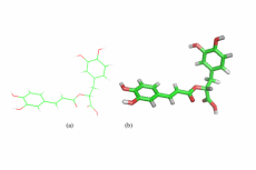 Hepatitis E Inhibited by Rosmarinic Acid Extract from Clove Plant (Syzygium Aromaricum) through Computational Analysis