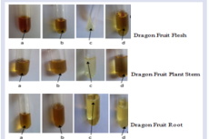 Phytochemical test results of red dragon fruit extract Image Caption a. Contains Flavonoids, b. Contains Alkaloids, c. Contains  Saponins